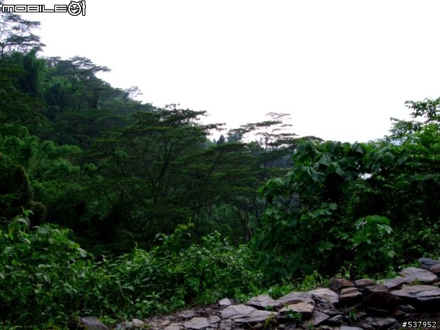 20090529[獨跑拍照景觀行]新威-山妍villa(寶來)-五公山