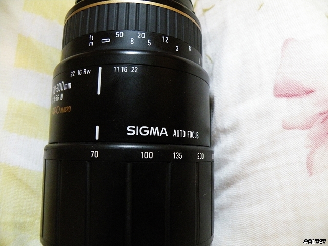 [請教] 各位先進 sigma 70-300mm for nikon 的老鏡還能續用嗎?