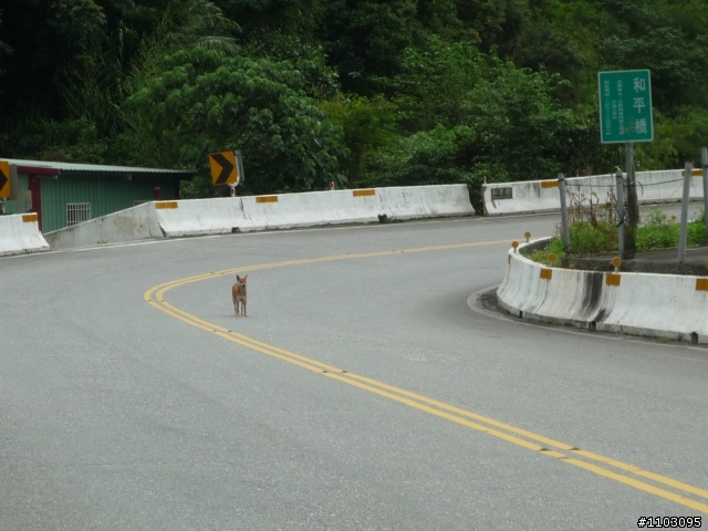 Fuji公路車異鄉尋親記-5/1~5/3之宜蘭花蓮三天二夜