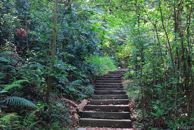 彰化市：桃源里森林步道（順撿坑子內山圖根點）