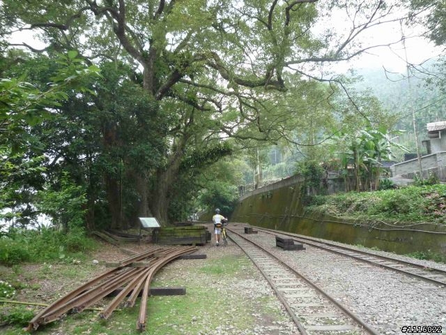 阿里山小火車站 - 樟腦寮