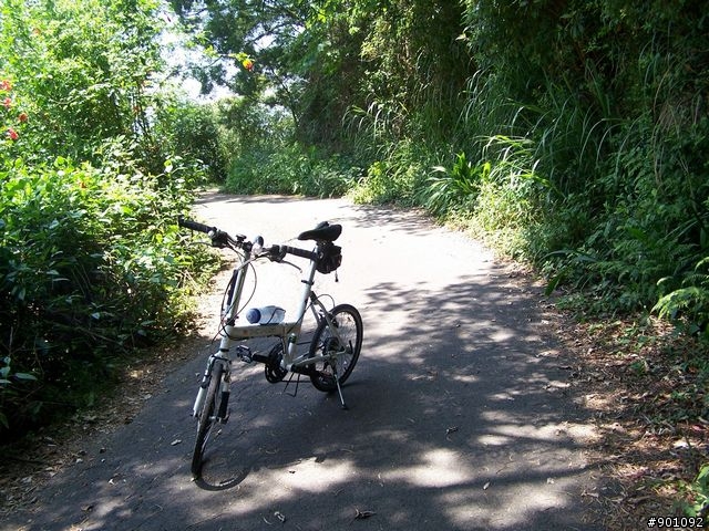 2009/5/12 三元宮上顯伯宮+鹿寮坑~關西 小越嶺 + 自不量力之錦山~水田 越嶺