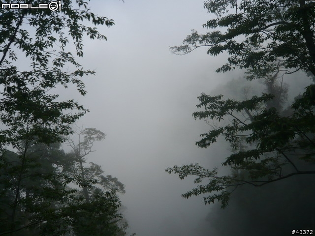 [分享]陽光飛輪 雪飄梧桐 2009第一屆大雪山自行車飛輪登山挑戰賽活動