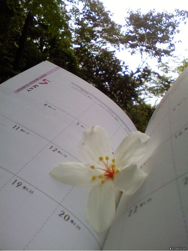 5月，我在土城，下雪天