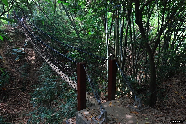 彰化市：桃源里森林步道（順撿坑子內山圖根點）