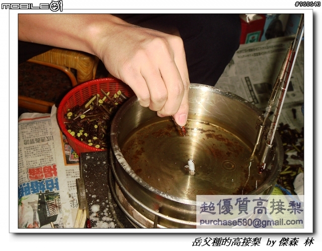 開包文_用心呵護的高接梨