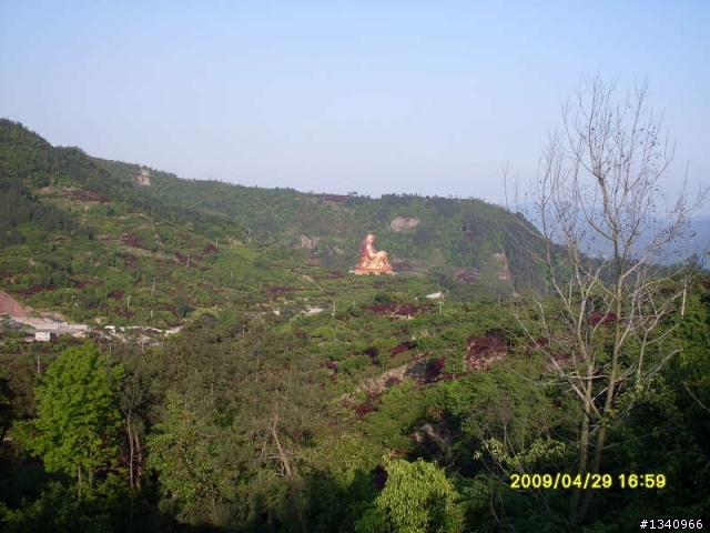 四明山4月的红枫