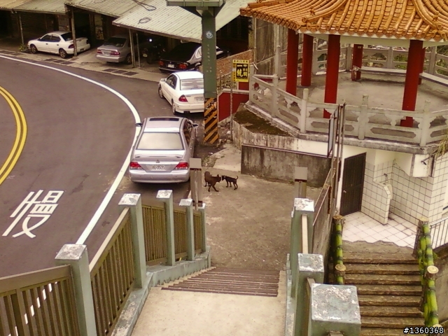 我跟大寶應徵工作完去三峽舊地重遊+回程"下系下重"落魄記= ="