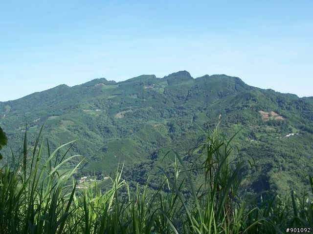 新竹縣五個山地部落 ( 和平~羅山~花園~天湖~梅花 ) 雙越嶺
