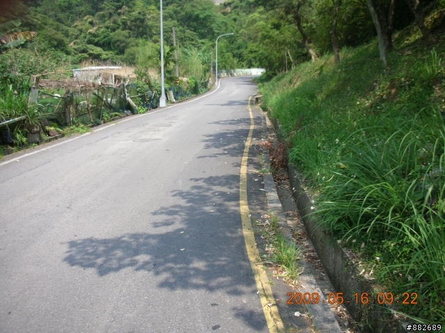 [路線調查]汐碇路蔭涼度調查記錄