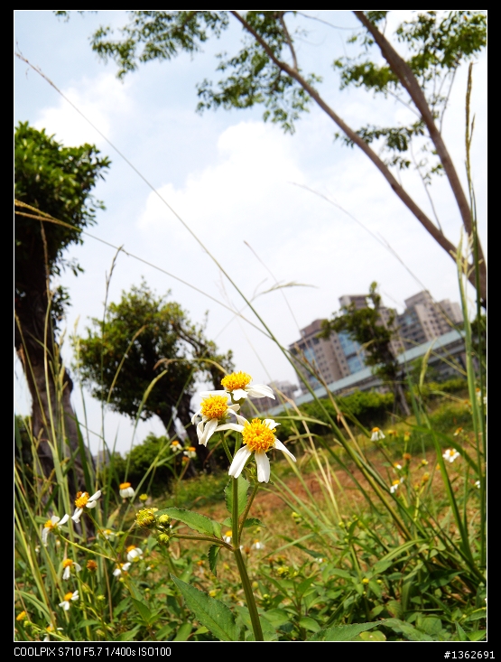 Nikon S710 金屬機身過熱的問題