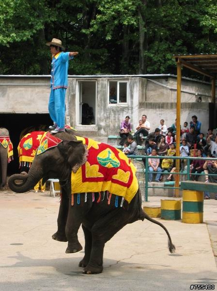 上海動物園