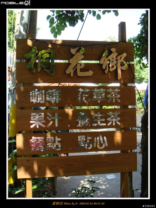[照片] 980503 三月瘋馬祖，五月賞桐花 (圖多)