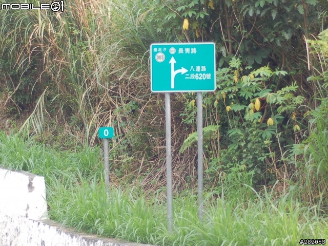 八連路上五指山...新發現 求 鳥名...感恩