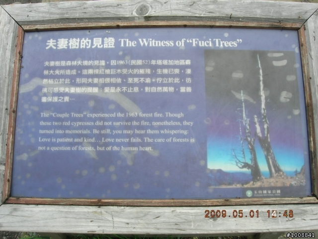 黑衣部隊探路行之"塔塔加(新中橫)"