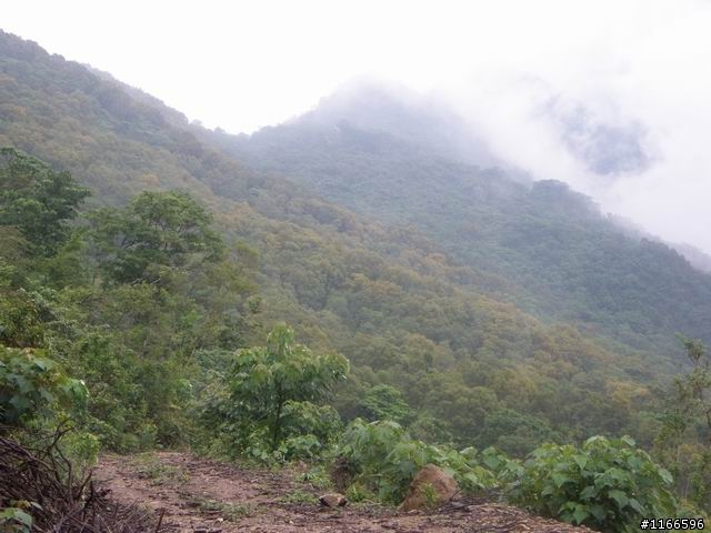 路線請益--三地門德文，轉"觀望山"路線