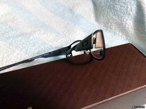 另一隻有型的Oakley DICTATE™ 4.0
