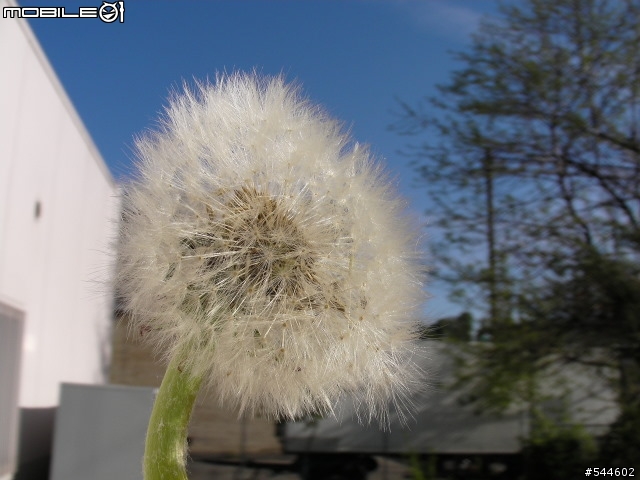 Sanyo HD2000 歐洲試拍初體驗，請多多指教囉（毒舌可！）～