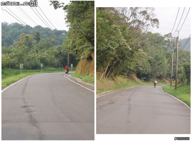 八連路上五指山...新發現 求 鳥名...感恩