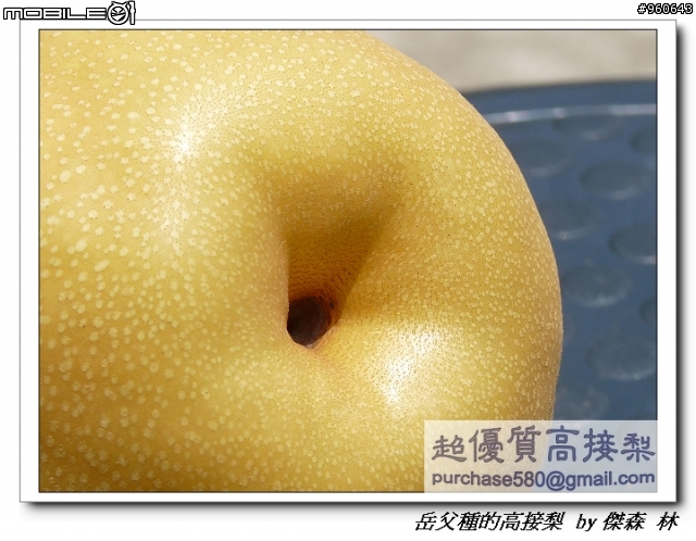 開包文_用心呵護的高接梨