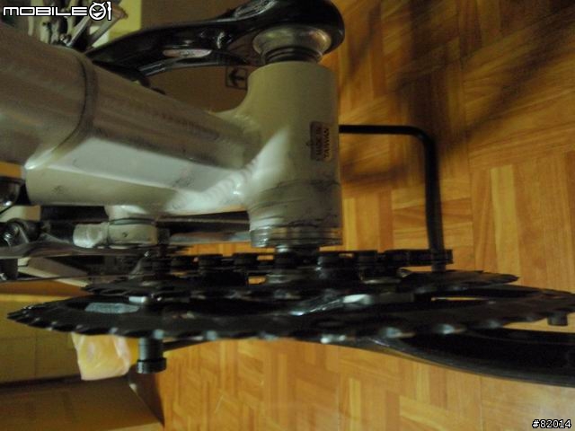 Birdy 與三盤的愛情故事正在上演   ~30速鳥~