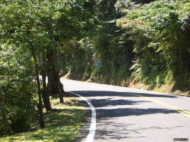 南橫之梅山口～埡口