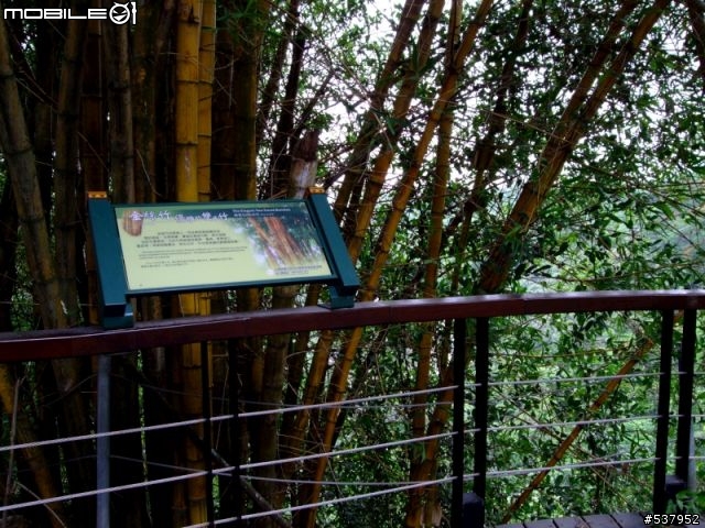20090529[獨跑拍照景觀行]新威-山妍villa(寶來)-五公山