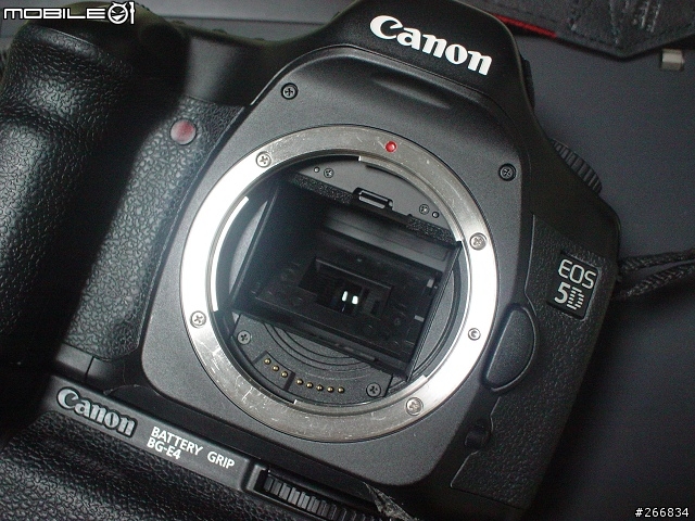 Canon 5D ~~ 出來混總有一天要還的!! 噴...(6/15 更新)