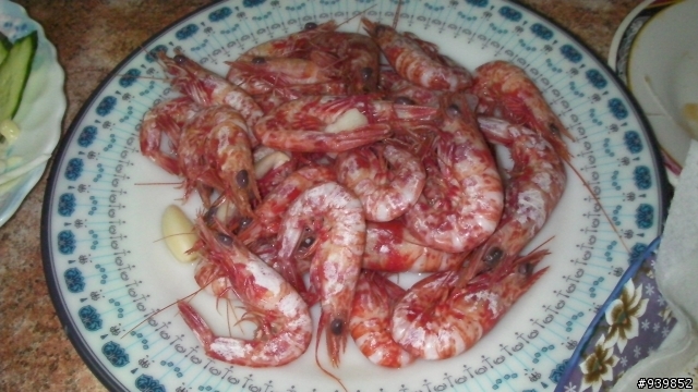 2009春末6天5夜菊島行~完~照片多喔