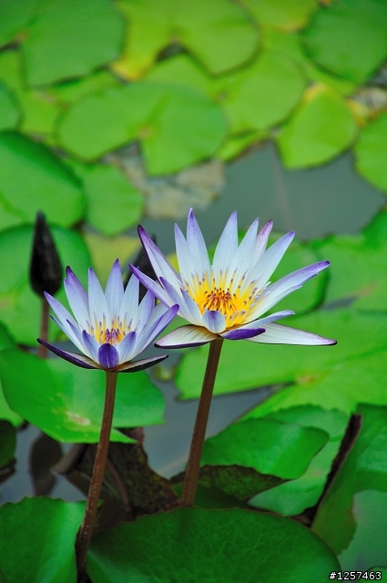 有Nikon D5000的來蓋大樓