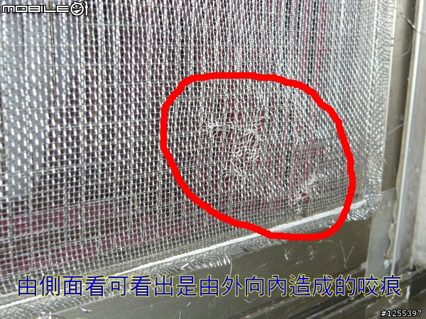 母親節禮物-防鼠網DIY教學