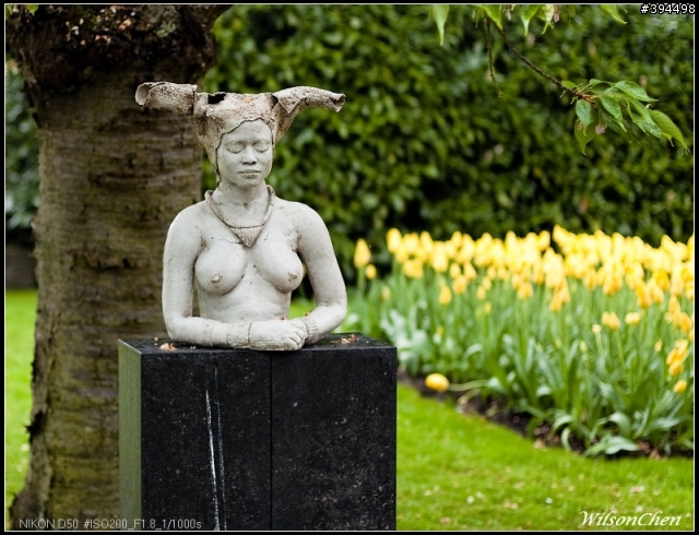 荷蘭 Keukenhof 花園