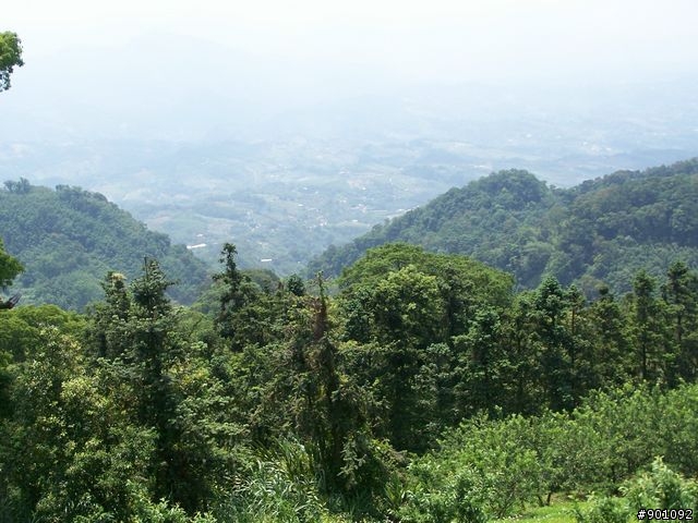 苗栗 130縣道 ( 薑麻園 ) +勝興車站+龍騰斷橋+鯉魚潭水庫