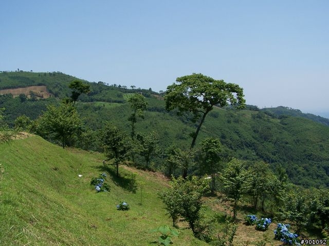 新竹縣五個山地部落 ( 和平~羅山~花園~天湖~梅花 ) 雙越嶺