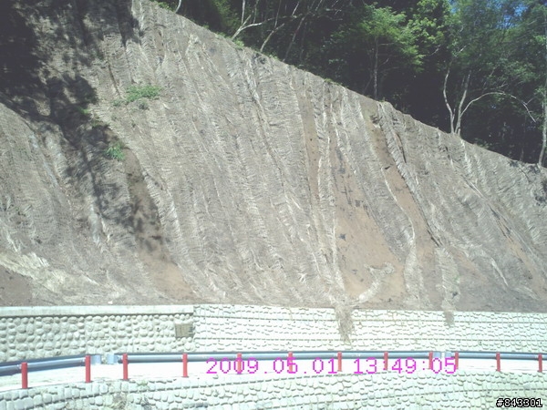 獨闖馬美林道&武道能敢