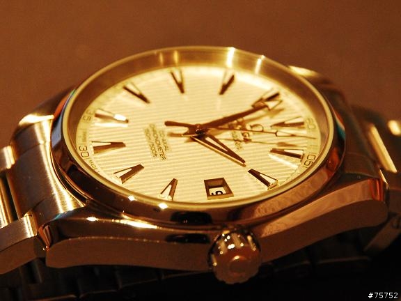 OMEGA Seamaster AQUA TERRA(白錶面)