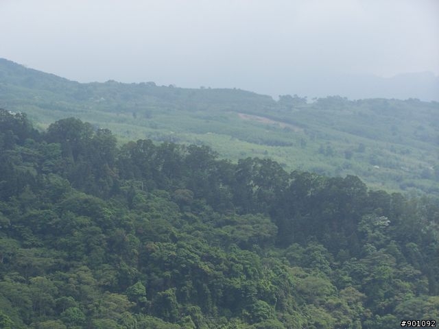 2009/5/12 三元宮上顯伯宮+鹿寮坑~關西 小越嶺 + 自不量力之錦山~水田 越嶺