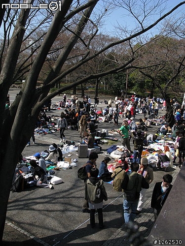[分享]不可不去的跳蚤市場~東京代代木公園!!