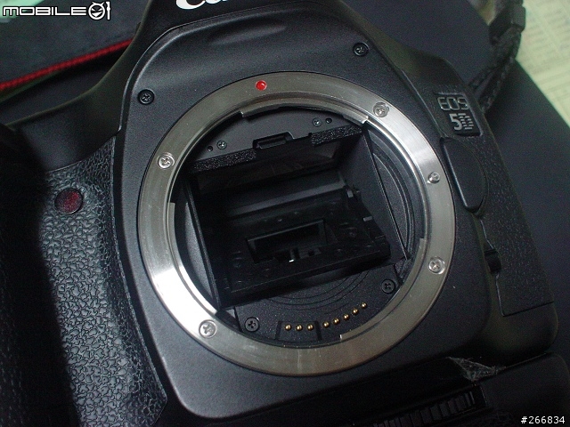 Canon 5D ~~ 出來混總有一天要還的!! 噴...(6/15 更新)