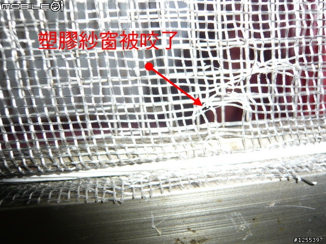 母親節禮物-防鼠網DIY教學
