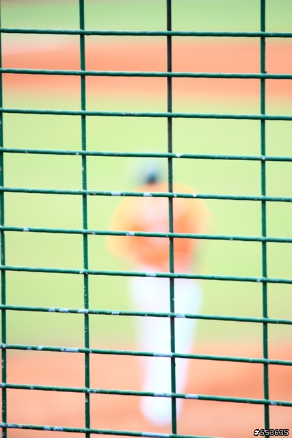 CPBL與55-250kit的邂逅