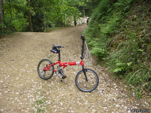 大家來分享一下騎愛車賞桐花的路徑和照片吧!