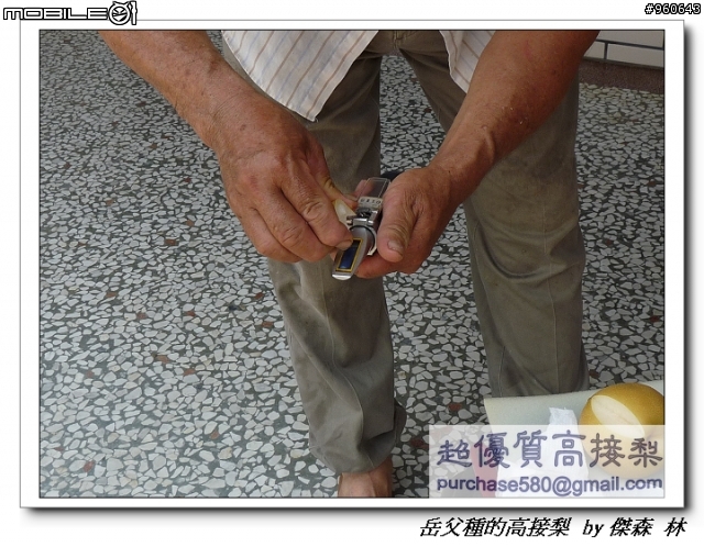 開包文_用心呵護的高接梨