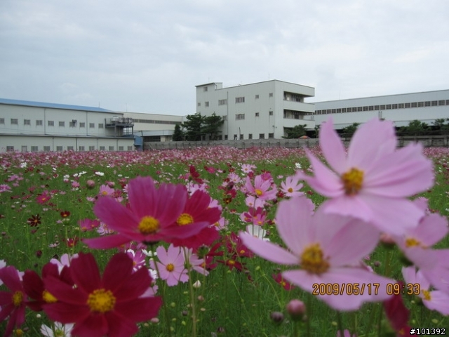 20090517-TCSM潭雅神半日遊