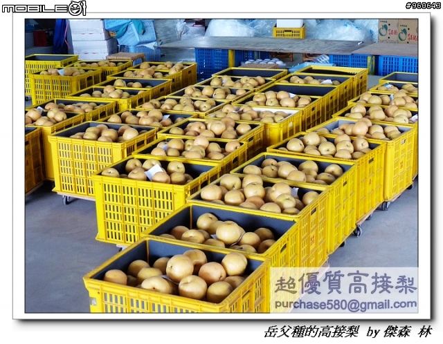 開包文_用心呵護的高接梨
