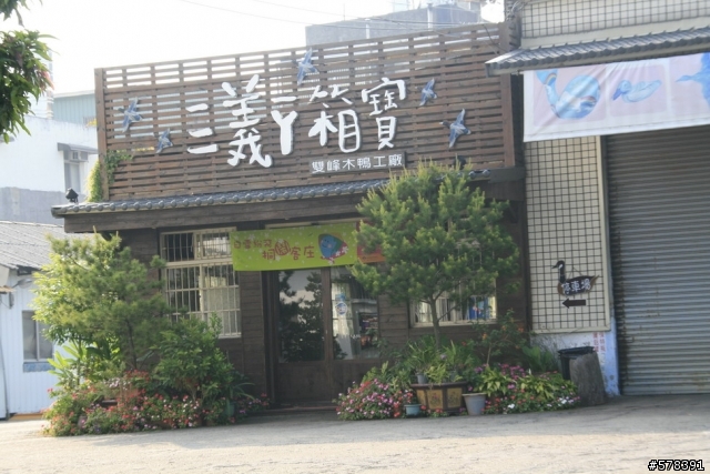 TCSM 5/2三義119縣道油桐花及新竹17公里海岸分享
