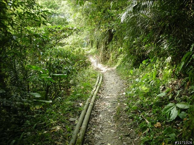 熊空越嶺紅河谷