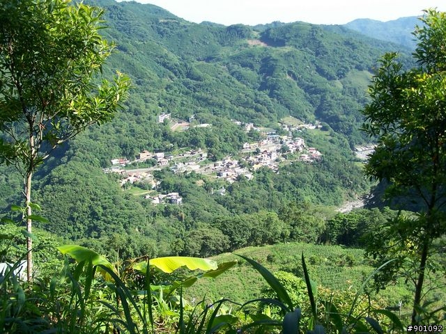 新竹縣五個山地部落 ( 和平~羅山~花園~天湖~梅花 ) 雙越嶺