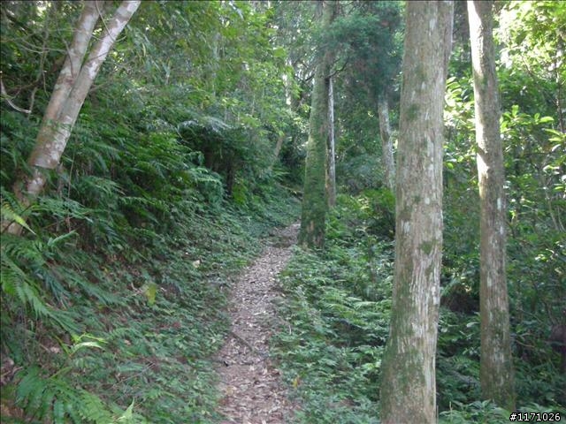 熊空越嶺紅河谷