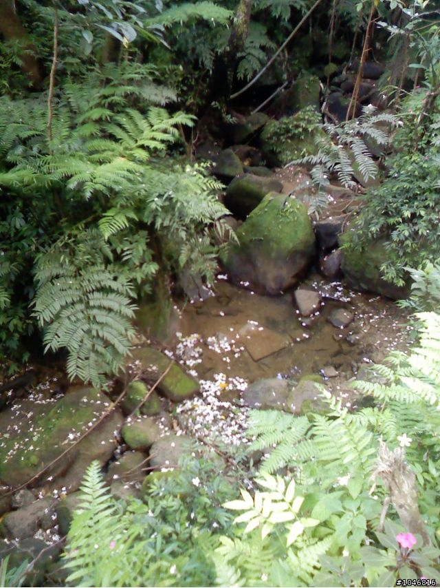 5月，我在土城，下雪天